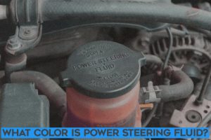 What Color is Power Steering Fluid