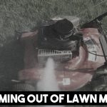 Why is oil coming out my Lawn Mower Exhaust